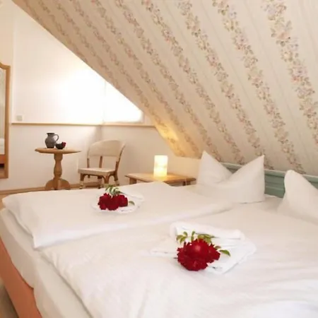Lägenhetshotell Alte Schmiede 3*